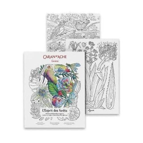 L’Espirit des forets 25 Original Illustrations to Colour Supererior Quality A4 Drawing Paper