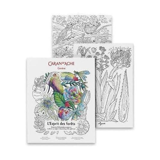 Item0-WUcdOQ-1.jpg L’Espirit des forets 25 Original Illustrations to Colour Supererior Quality A4 Drawing Paper