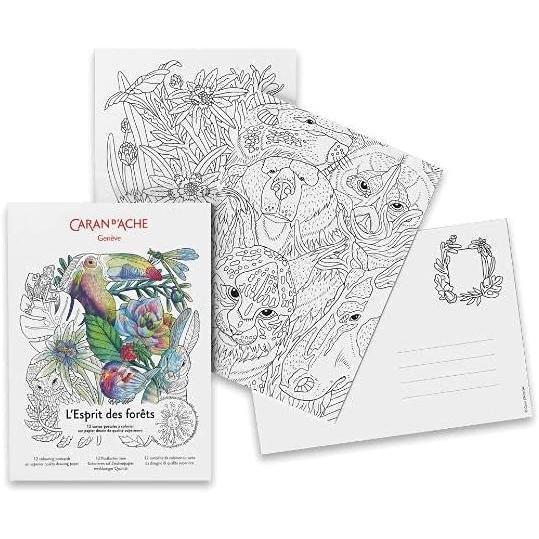 Item0-aAnkKw-1.jpg L’Espirit des forets 12 Colouring Postcards Supererior Quality Drawing Paper