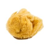 Jakar Natural Sea Sponge Large (Average Size 11cm / 4.5”) Hanging Pack