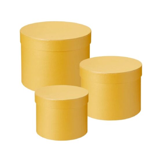 Oasis Round Baby Yellow Hat Boxes Set of 3 – Strong, Waterproof & Recyclable for Floristry Art & Crafts