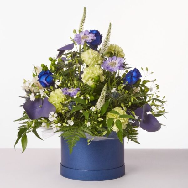 Oasis Round Navy Hat Boxes Set of 3 - Strong, Waterproof & Recyclable for Floristry Art & Crafts 1 Oasis Round Navy Hat Boxes Set of 3 – Strong, Waterproof & Recyclable for Floristry Art & Crafts
