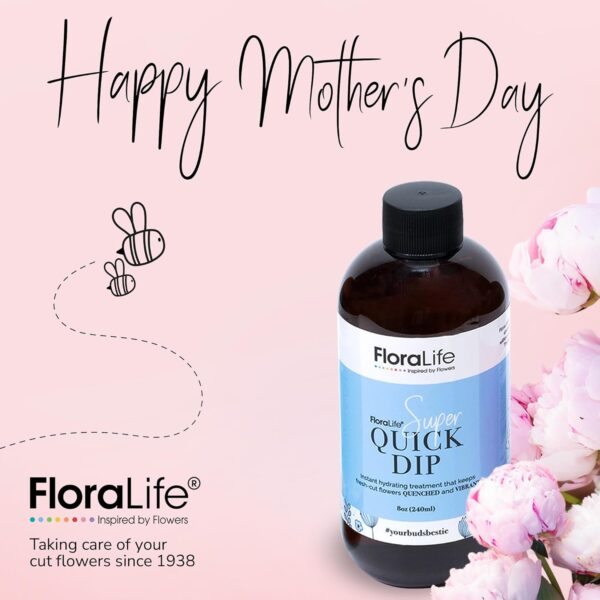 FloraLife Quick Dip 250ml – Instant Hydration Treatment for Fresh-Cut Flowers 1 FloraLife Quick Dip 250ml – Instant Hydration Treatment for Fresh-Cut Flowers