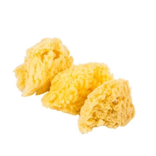 Jakar Natural Sea Sponge - Pack of 3 (Approx. 7cm / 2.75") for Painting, Blending & Craft Use (Hanging Pack) (9025) 1 Jakar Natural Sea Sponge – Pack of 3 (Approx. 7cm / 2.75″) for Painting, Blending & Craft Use (Hanging Pack) (9025)