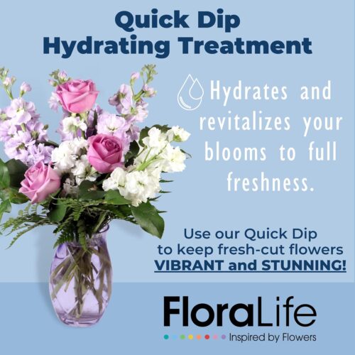 FloraLife Quick Dip 250ml – Instant Hydration Treatment for Fresh-Cut Flowers 7 FloraLife Quick Dip 250ml – Instant Hydration Treatment for Fresh-Cut Flowers