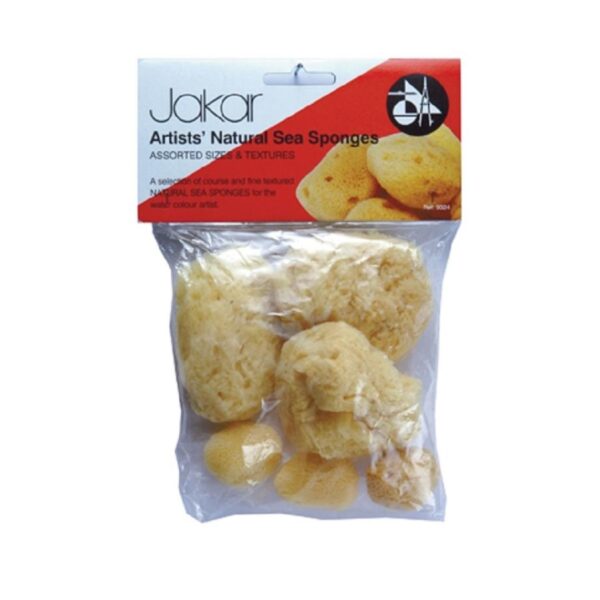 Jakar Natural Sea Sponge Variety Pack – 4-6 Pieces with Fine & Coarse Textures for Painting & Crafts (Hanging Pack) (9024)