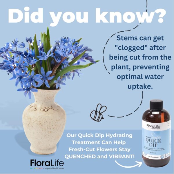 FloraLife Quick Dip 250ml – Instant Hydration Treatment for Fresh-Cut Flowers 3 FloraLife Quick Dip 250ml – Instant Hydration Treatment for Fresh-Cut Flowers