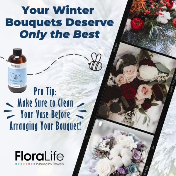 FloraLife Quick Dip 250ml – Instant Hydration Treatment for Fresh-Cut Flowers 4 FloraLife Quick Dip 250ml – Instant Hydration Treatment for Fresh-Cut Flowers