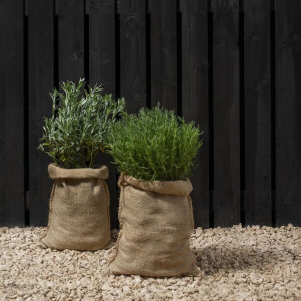 Ronseal Fence Life Plus+ Tudor Black Oak (5L) – 5-Year All-Weather Protection for Sheds & Fences 2 RNS FLP TUD BLK 3
