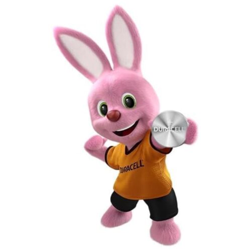 Duracell Alkaline Batteries 1.5V Size LR44 (Pack of 2) – Long-Lasting Power (A76/V13GA/76A)