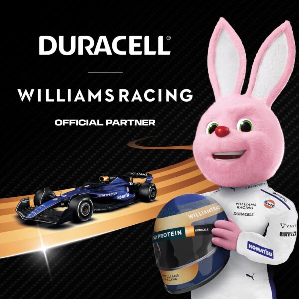 Duracell Plus Boost Alkaline Batteries 1.5V Size D (Pack of 2) – Long-Lasting Power, 100% Life Guaranteed (LR20/MN1300)