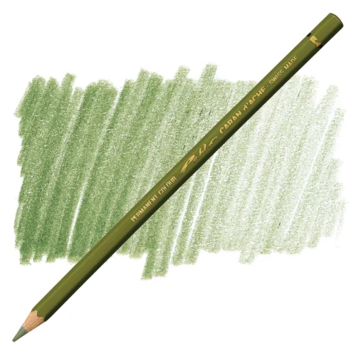 Caran d'Ache Pablo Olive Green Permanent Artist Colour Pencil – Olive Fonce 249