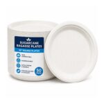 Sugarcane Bagasse Plates – 10″ Round (50 Pack) – Compostable, Biodegradable, Extra Strong White Disposable Plates