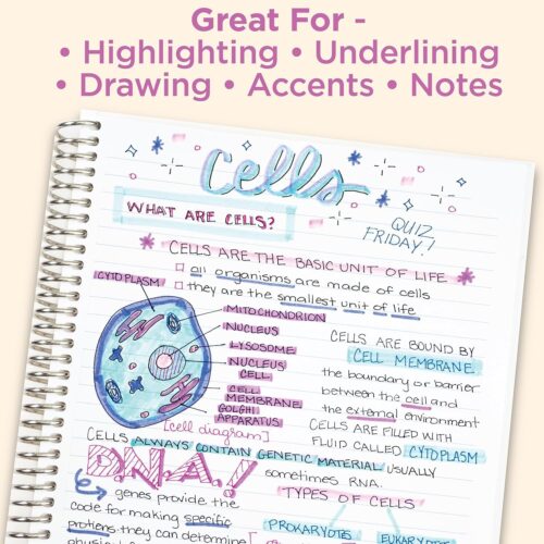 Zebra Mildliner Journaling Set (14 Pack) – 7 Double Ended Highlighters & 7 Sarasa Clip Gel Pens, Assorted Colours & Creative Work 9 Zebra Mildliner Journaling Set (14 Pack) – 7 Double Ended Highlighters & 7 Sarasa Clip Gel Pens, Assorted Colours & Creative Work