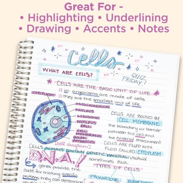 Zebra Mildliner Brush Pens Cool & Refined (5 Pack) – Double Ended Brush & Fine Tips for Lettering, Journaling & Planning 3 Zebra Mildliner Brush Pens Cool & Refined (5 Pack) – Double Ended Brush & Fine Tips for Lettering, Journaling & Planning
